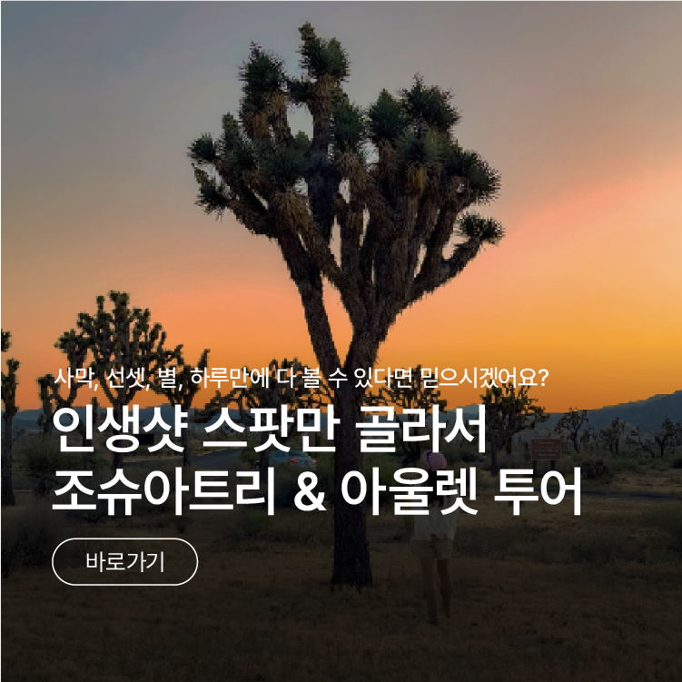 /upload/pfutour/file/we1100/202605/pfutour_cm9910_30000843.png