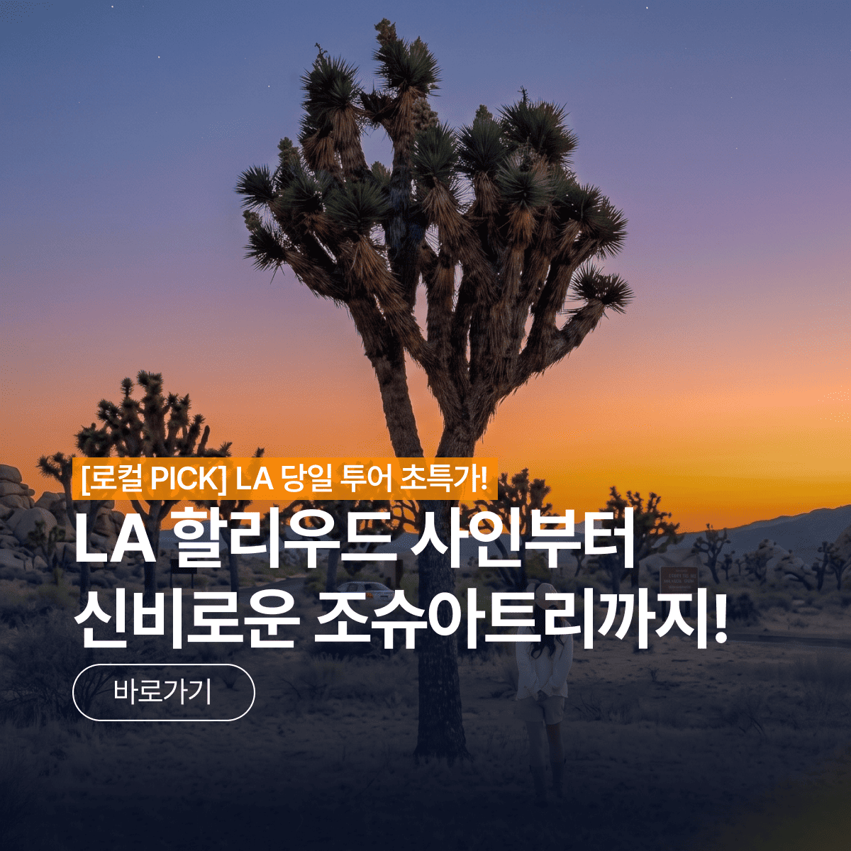 /upload/pfutour/file/we1100/202607/pfutour_cm9910_30000873.png