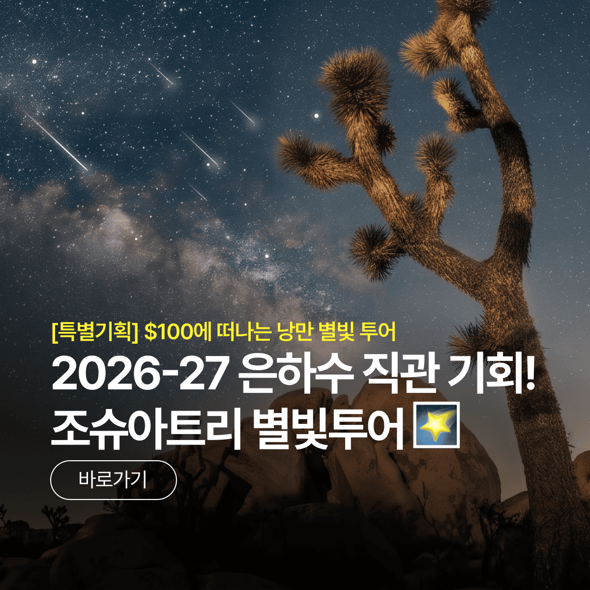 /upload/pfutour/file/we1100/202608/pfutour_cm9910_30000946.png